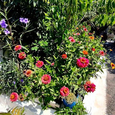 Glyfada'S Family Apartment Glyfada  المظهر الخارجي الصورة