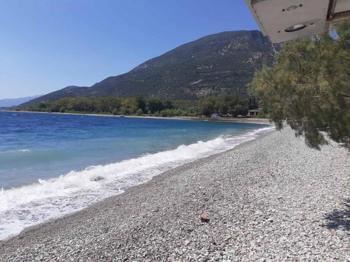 Glyfada'S Family Apartment Glyfada  المظهر الخارجي الصورة