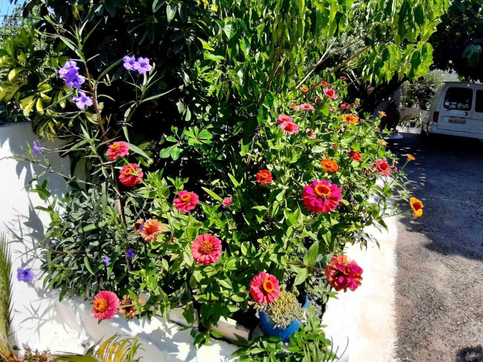 Glyfada'S Family Apartment Glyfada  المظهر الخارجي الصورة