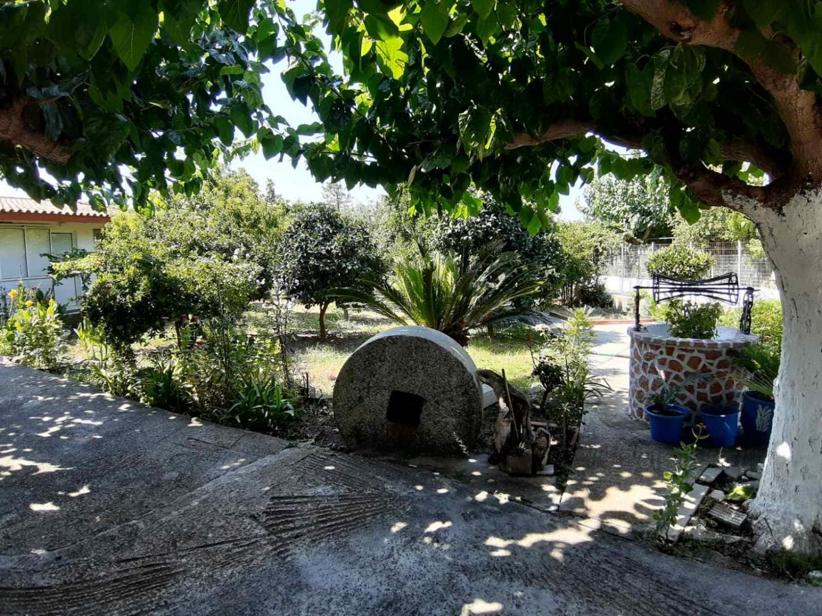 Glyfada'S Family Apartment Glyfada  المظهر الخارجي الصورة