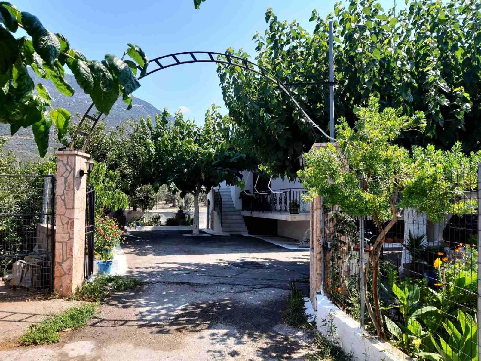 Glyfada'S Family Apartment Glyfada  المظهر الخارجي الصورة